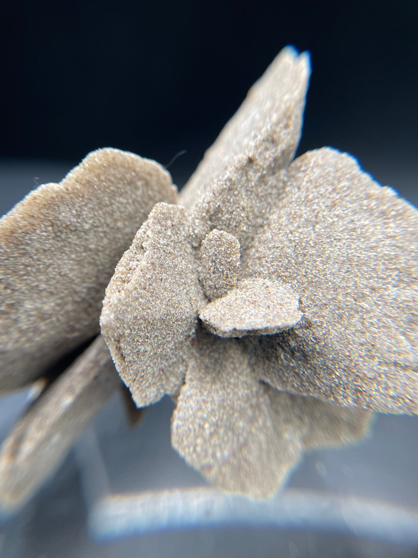 C5 Desert rose selenite crystal